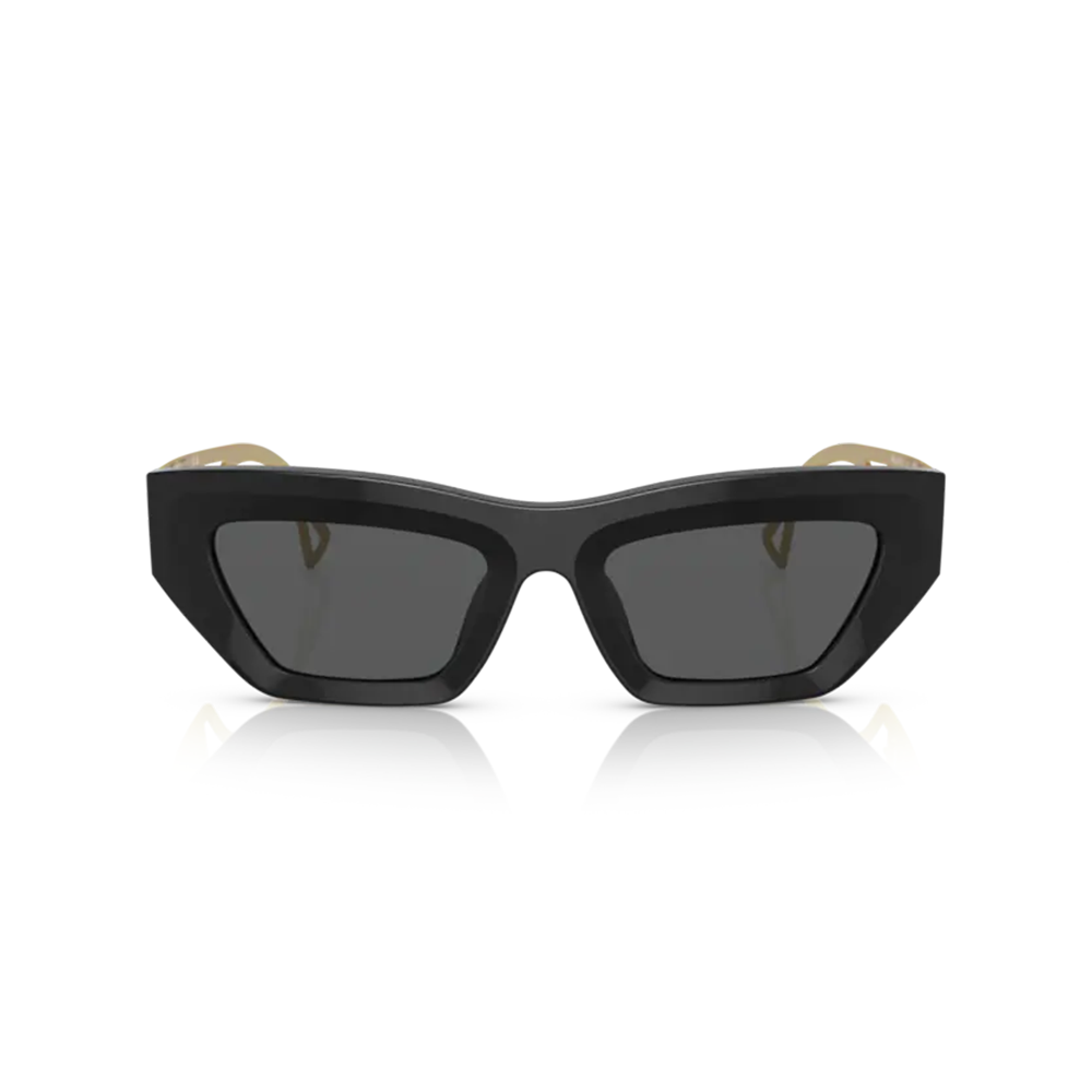 GAFAS DE SOL VERSACE - 0VE4432U