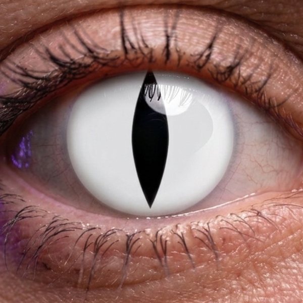 Lentilla de fantasía White Cat puesta en el ojo (simulación) · LUPER